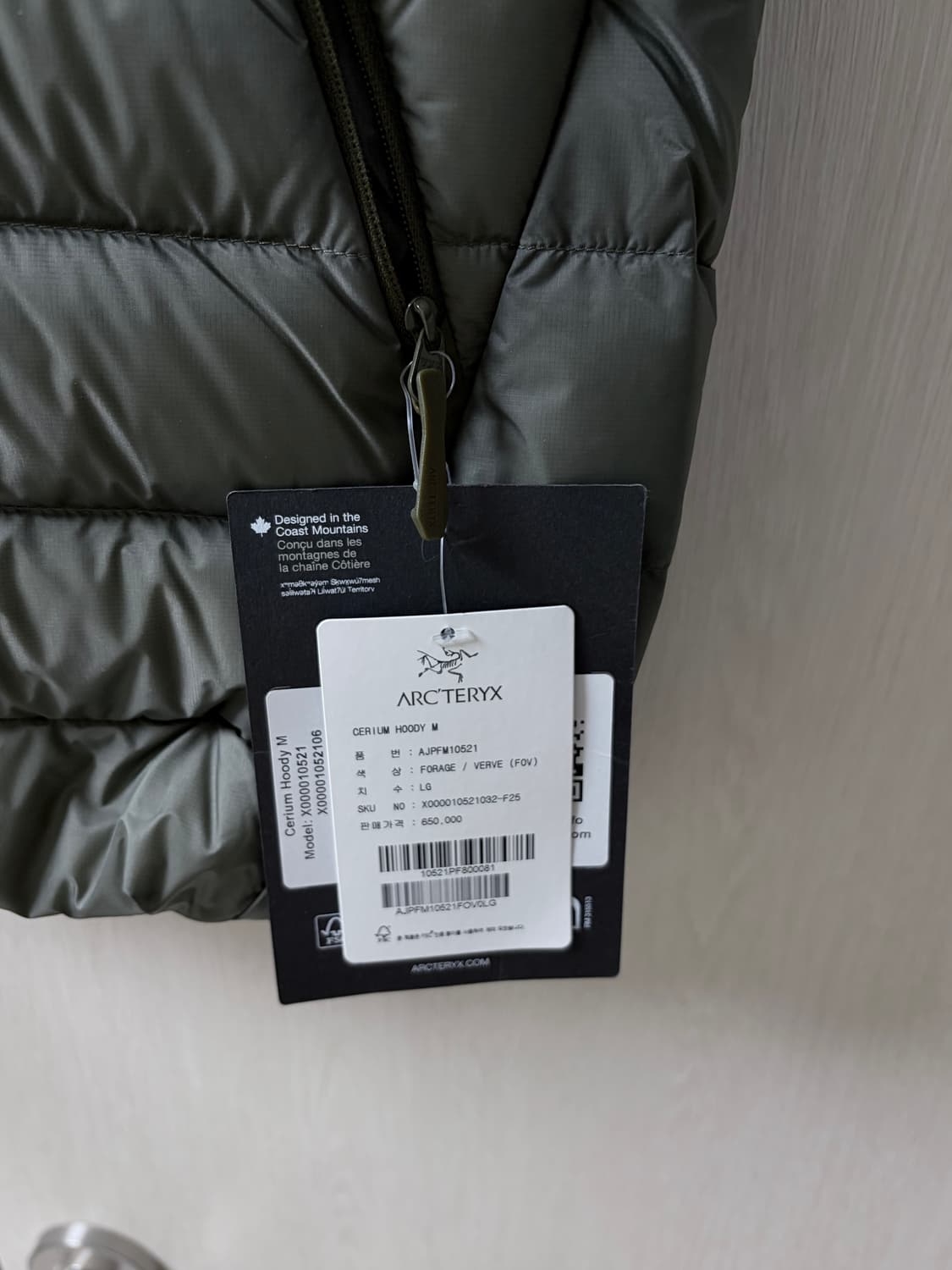 아크테릭스 세륨 포리지베르베 L 새상품 상품이미지2