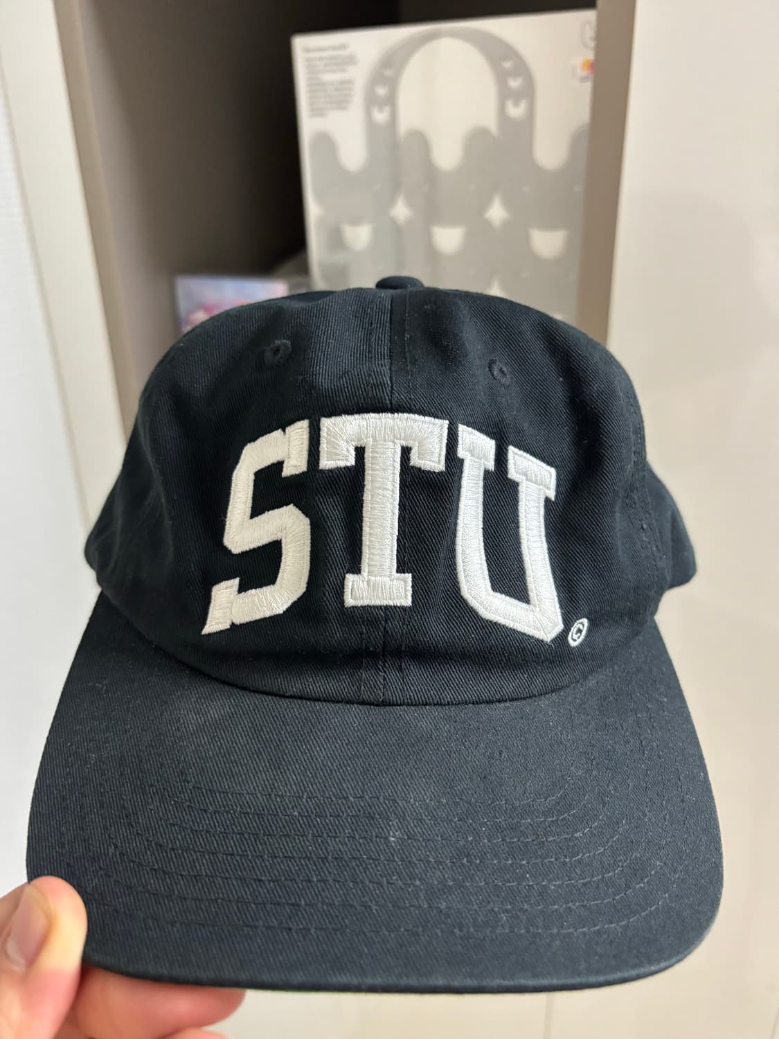 스투시 아치 캡모자 상품이미지3