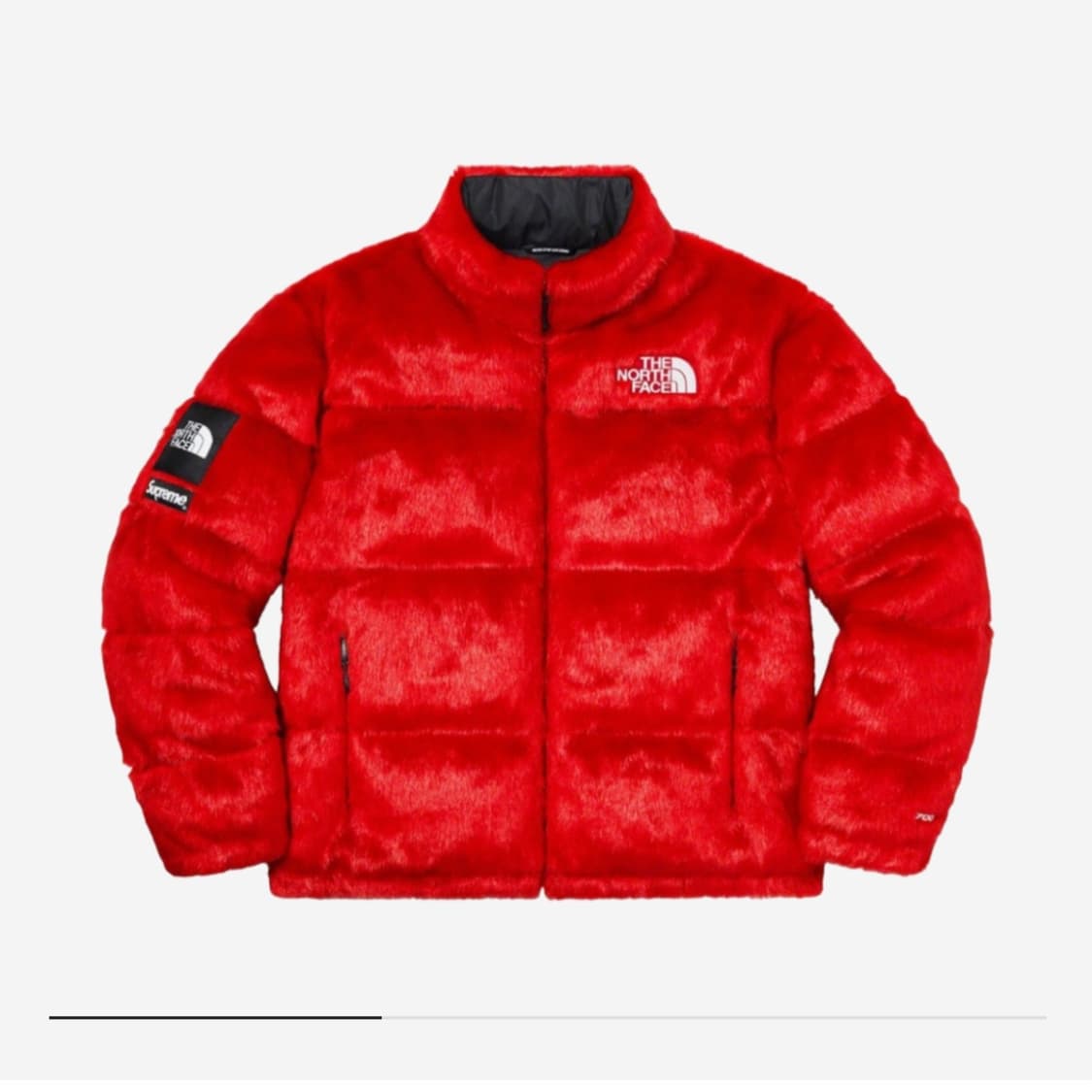 20fw 슈프림 노스페이스 퍼패딩 XL 상품이미지1