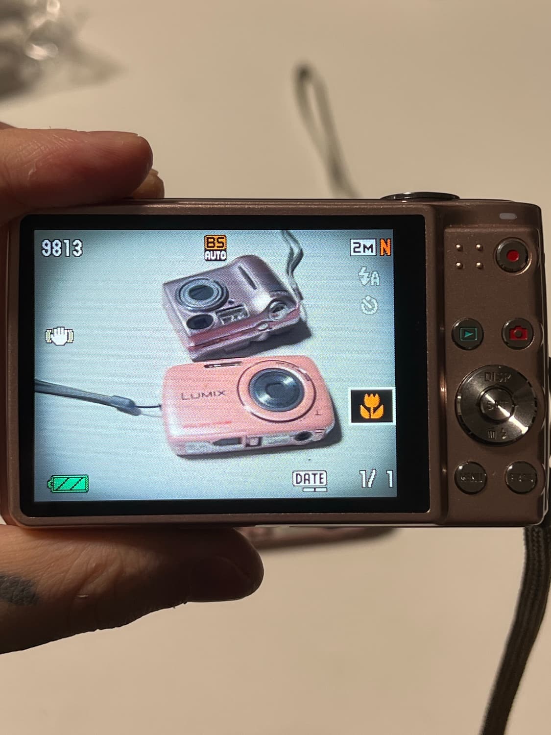 태연 자매 카메라 카시오 엑슬림 Z300 작례o 상품이미지8