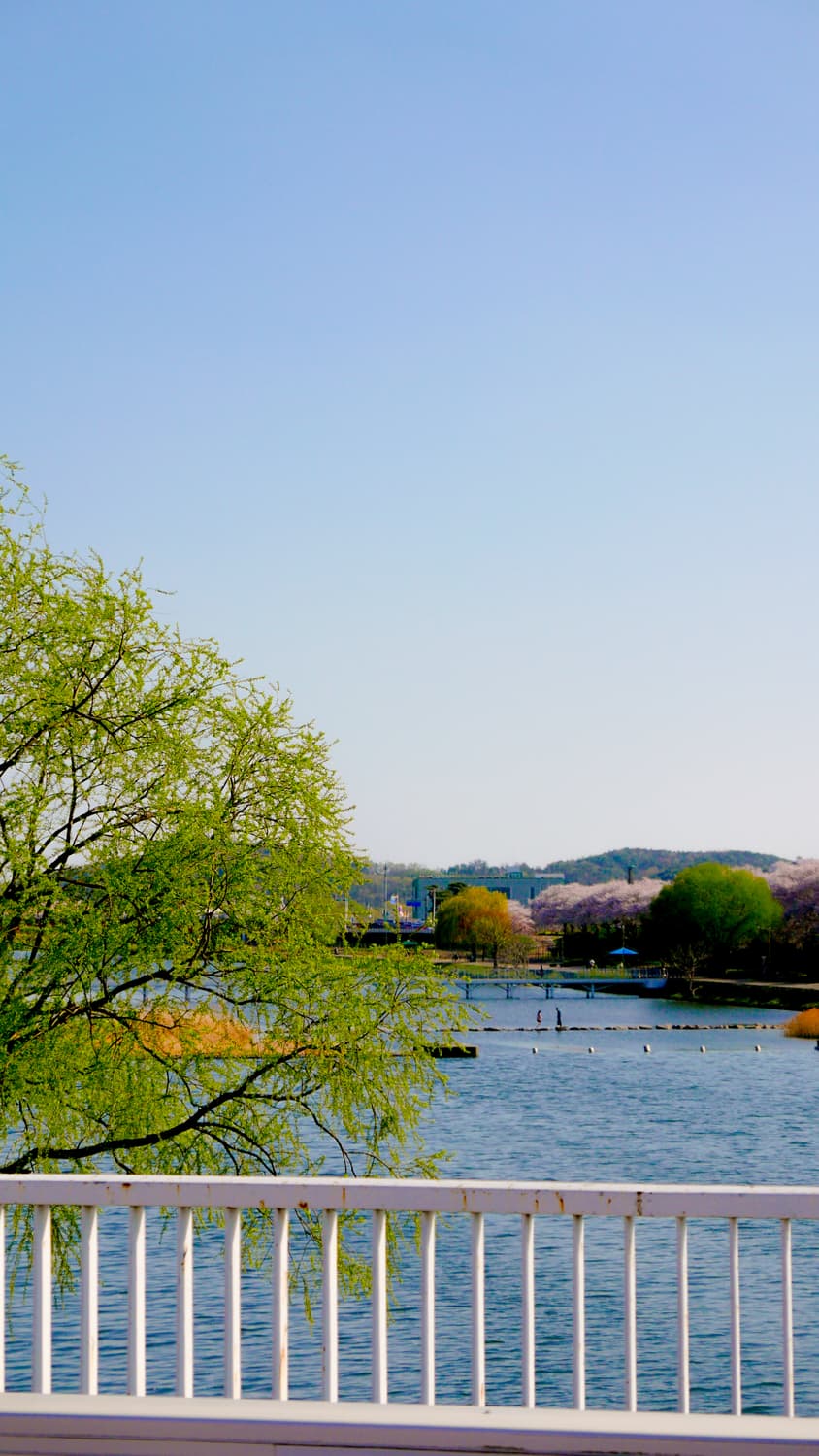 파나소닉 루믹스 Lx100 실버 상품이미지6