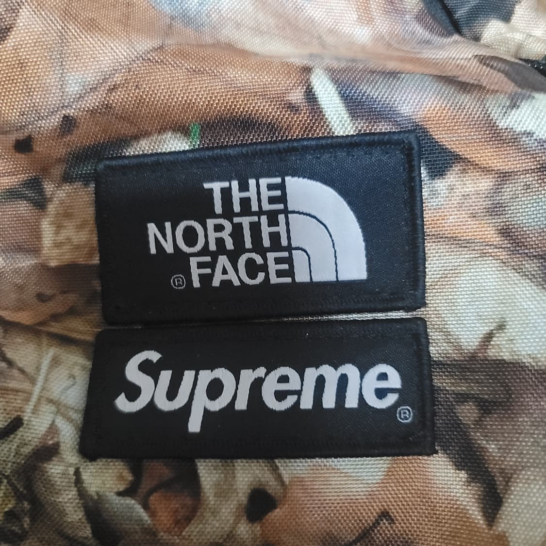 슈프림 x 노스페이스 낙엽 백팩 상품이미지2