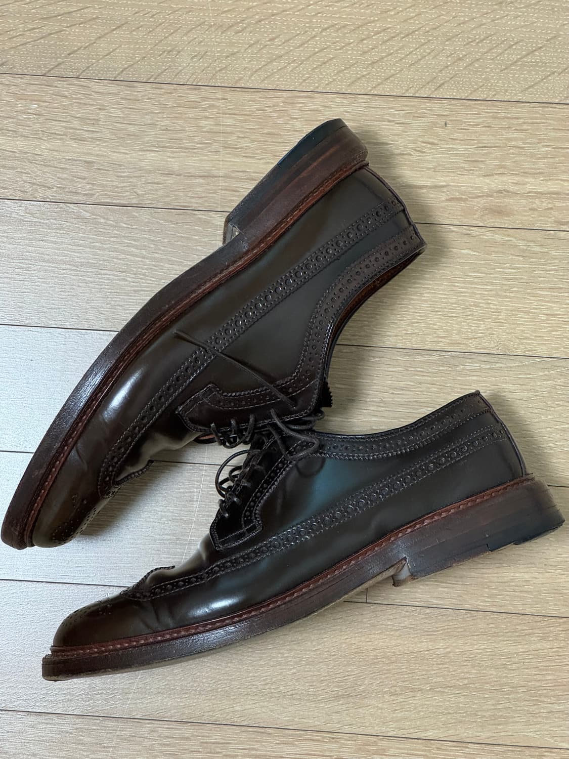 알든 시가쉘 코도반 롱윙  상품이미지4