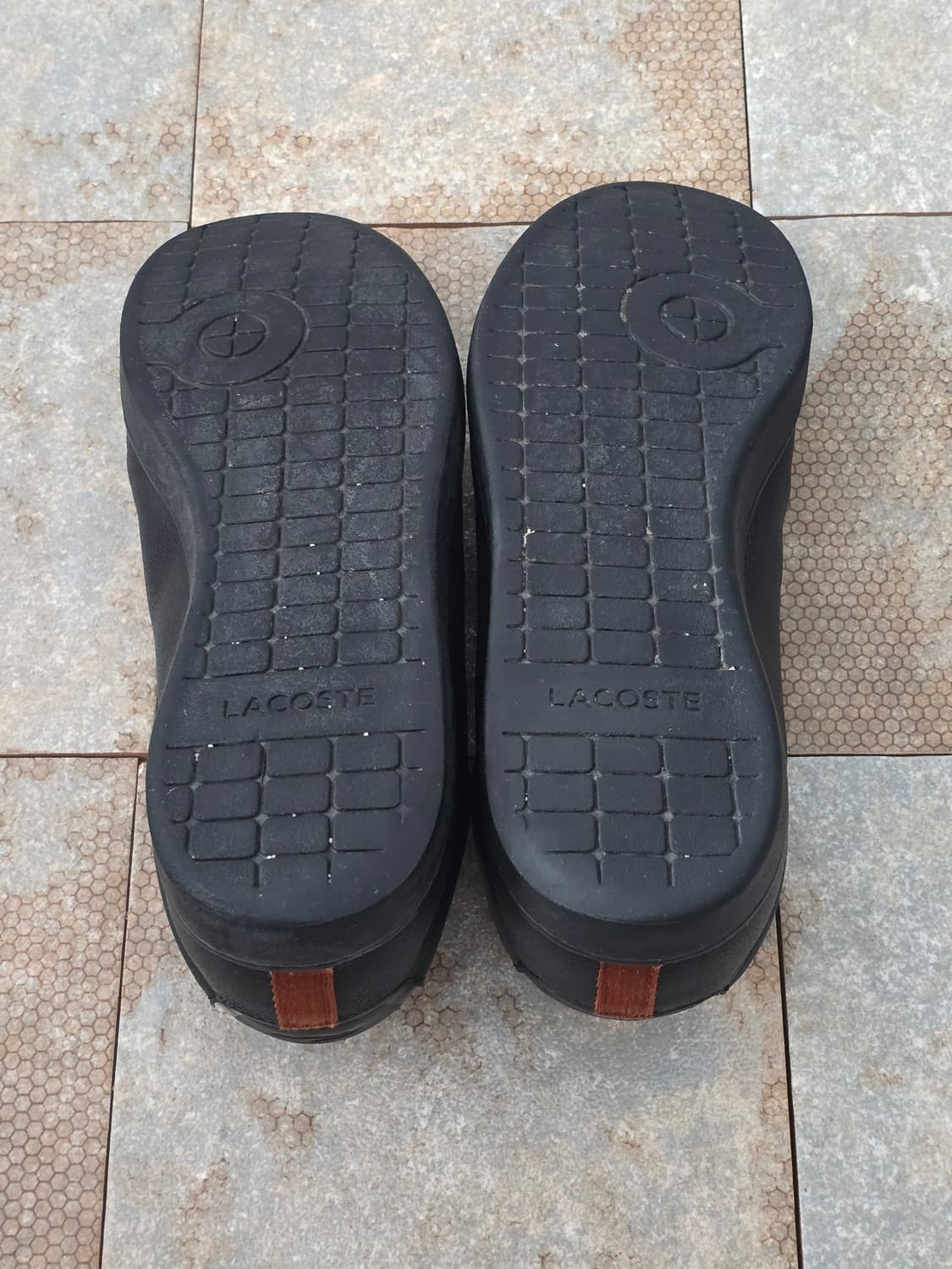 (280)라코스테 카나비 에보 318  상품이미지9