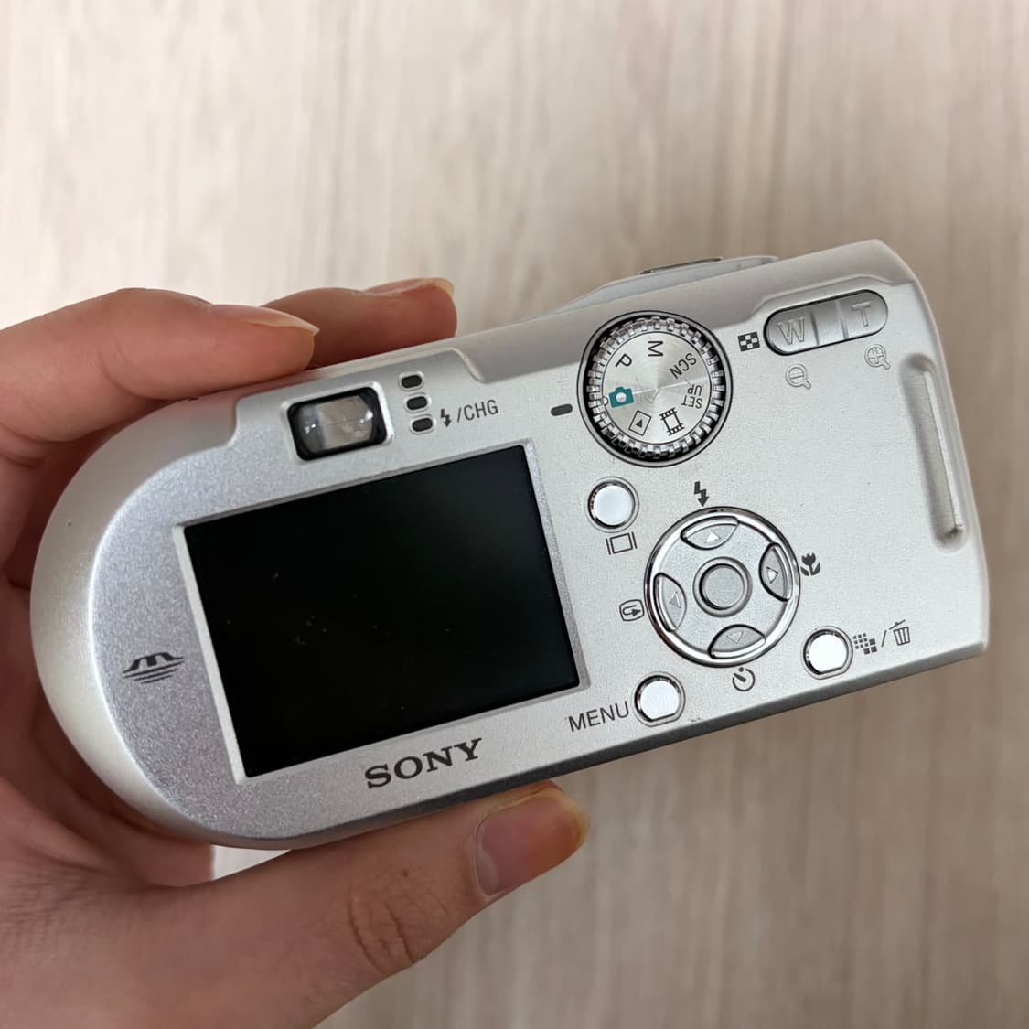 소니 사이버샷 DSC-P100 상품이미지3
