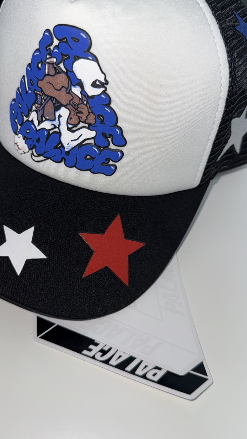 팔라스 마크 보디 트러커 캡 상품이미지2