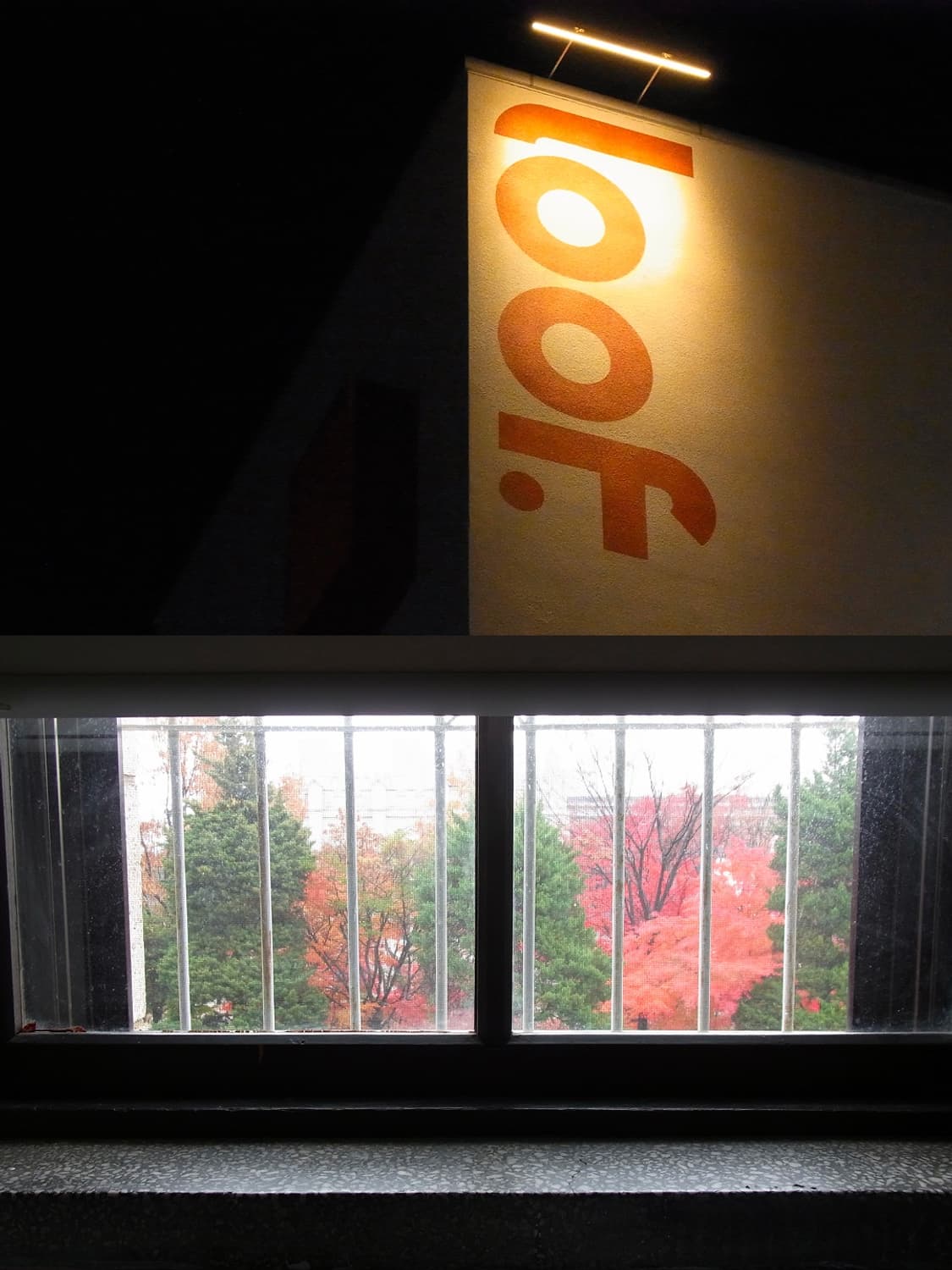 🪻리코 CX3🪻 빈티지 디카 상품이미지8