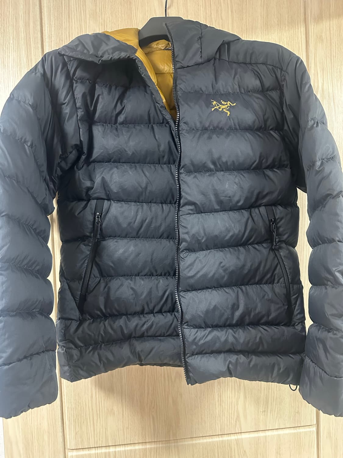 아크테릭스 토륨 AR 후디 24K 상품이미지1