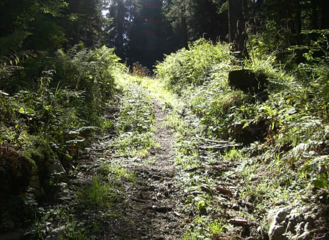 카시오 엑슬림 EX-Z700(뽀샤시Z시리즈!) 상태최상 작례있음! 상품이미지9