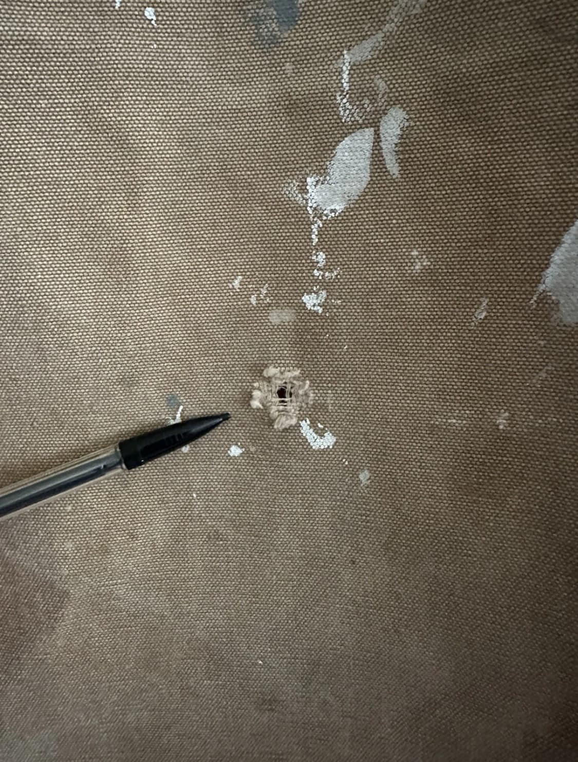 칼하트 워크팬츠 상품이미지3