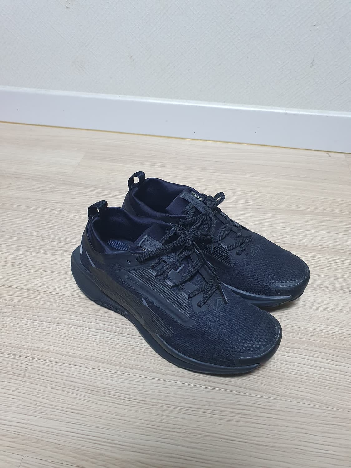 나이키 페가수스 트레일 5 고어텍스 260 상품이미지2