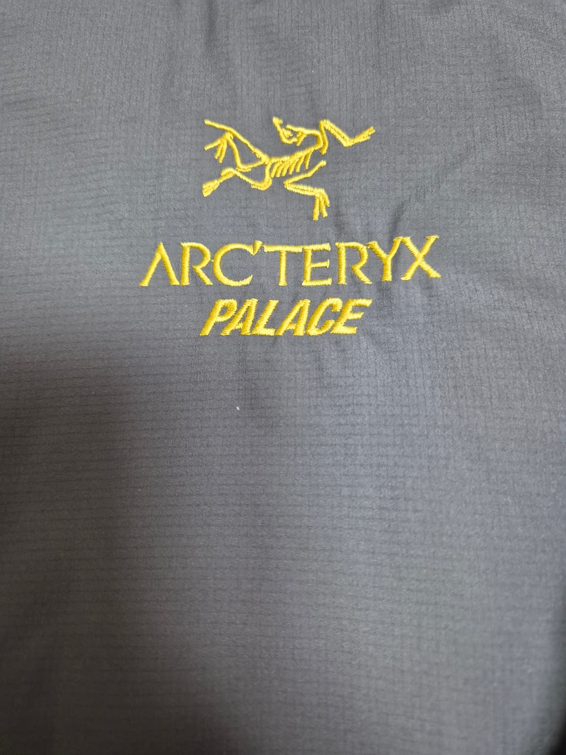 M) 아크테릭스 팔라스 아톰 Lt 자켓 상품이미지3