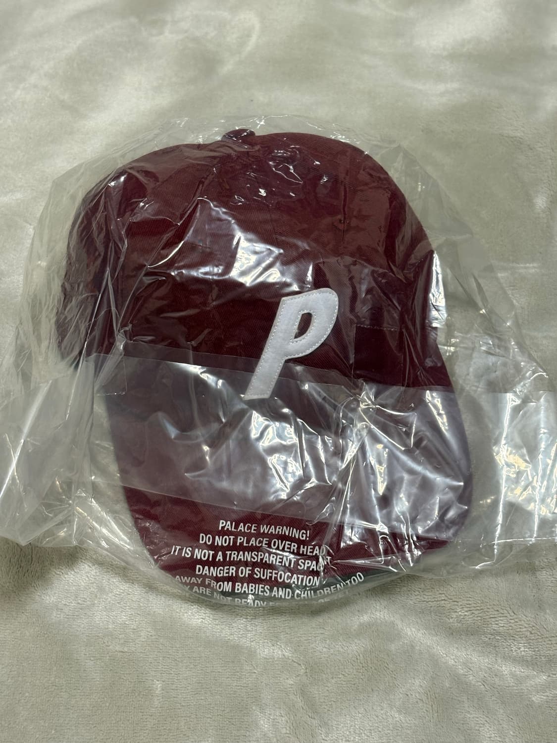 팔라스 모자 P 6-패널 버그 25FW 상품이미지2