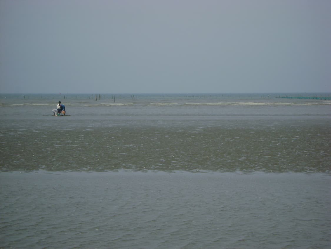 캐논 익서스 Canon IXUS 132 실버 상품이미지4