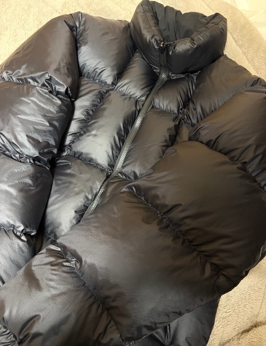 Goldwin 25fw 골드윈 뷰티앤유스 별주 3사이즈 블랙  상품이미지2