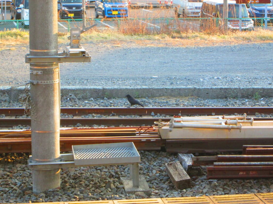 캐논 파워샷 Canon PowerShot A2300 실버 상품이미지3