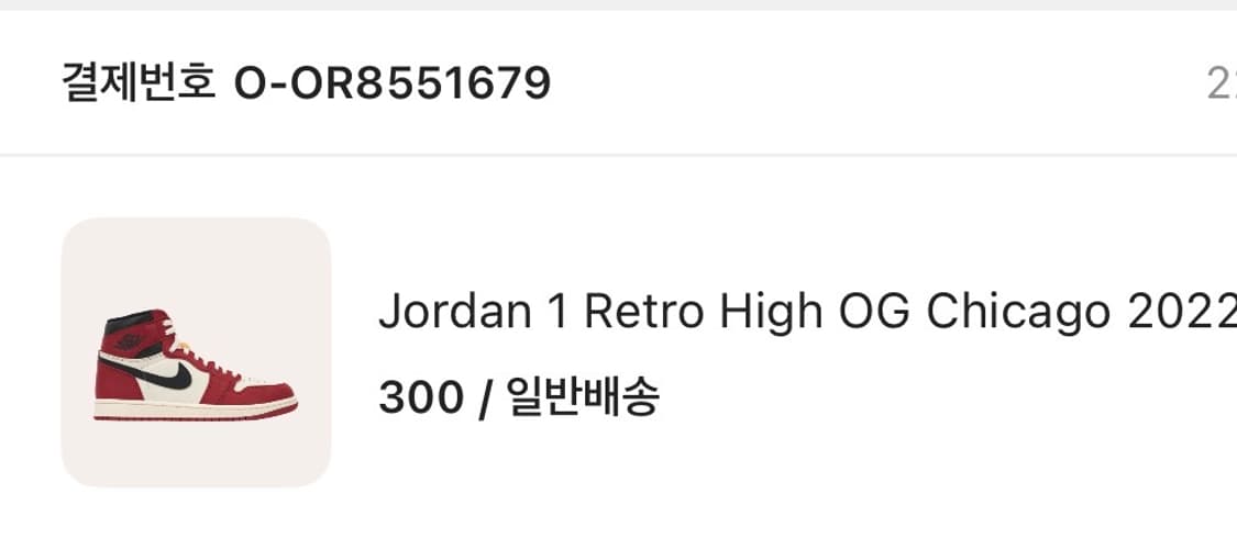 조던1 하이 og 2022 시카고 300 상품이미지9