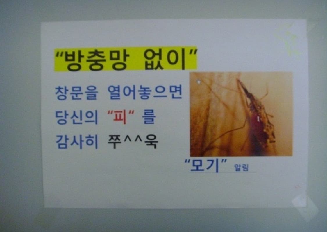 삼성 케녹스  Samsung Kenox #11 블랙 상품이미지2