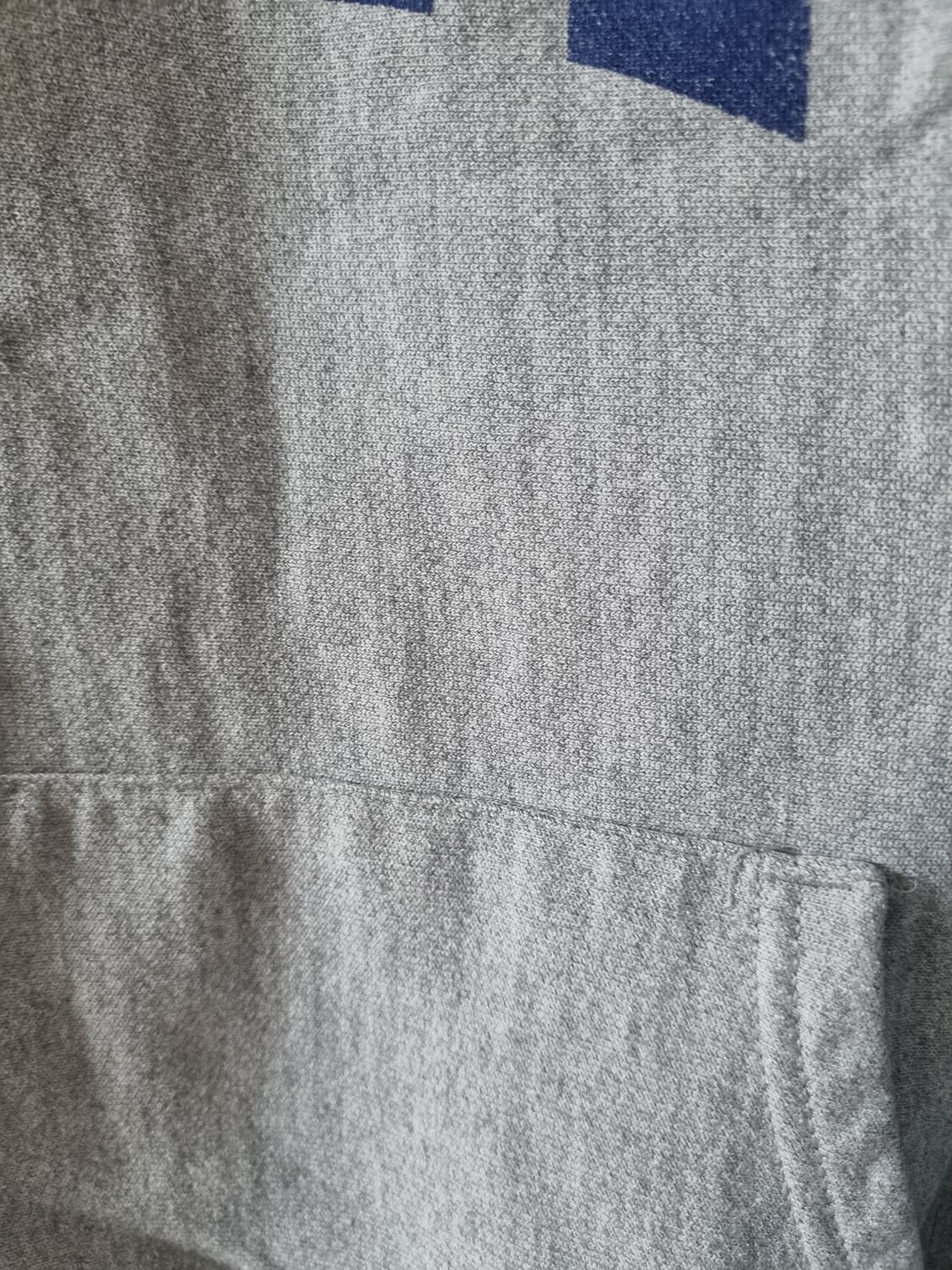 챔피온 리버스위브 usa 후드 L 상품이미지7