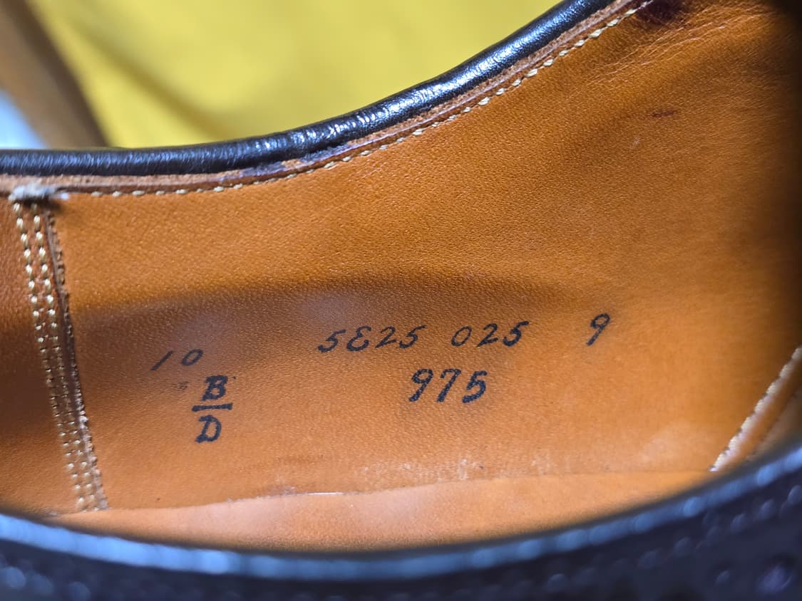 10D Alden 975 알든 975 코도반 롱윙 상품이미지7