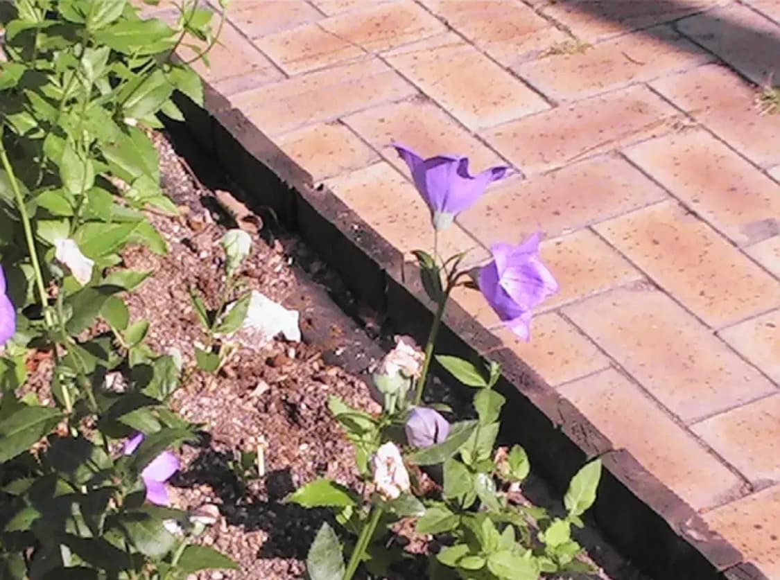 득템가/ 작례 o / Jvc Mg40 빈티지 캠코더 카메라 상품이미지5