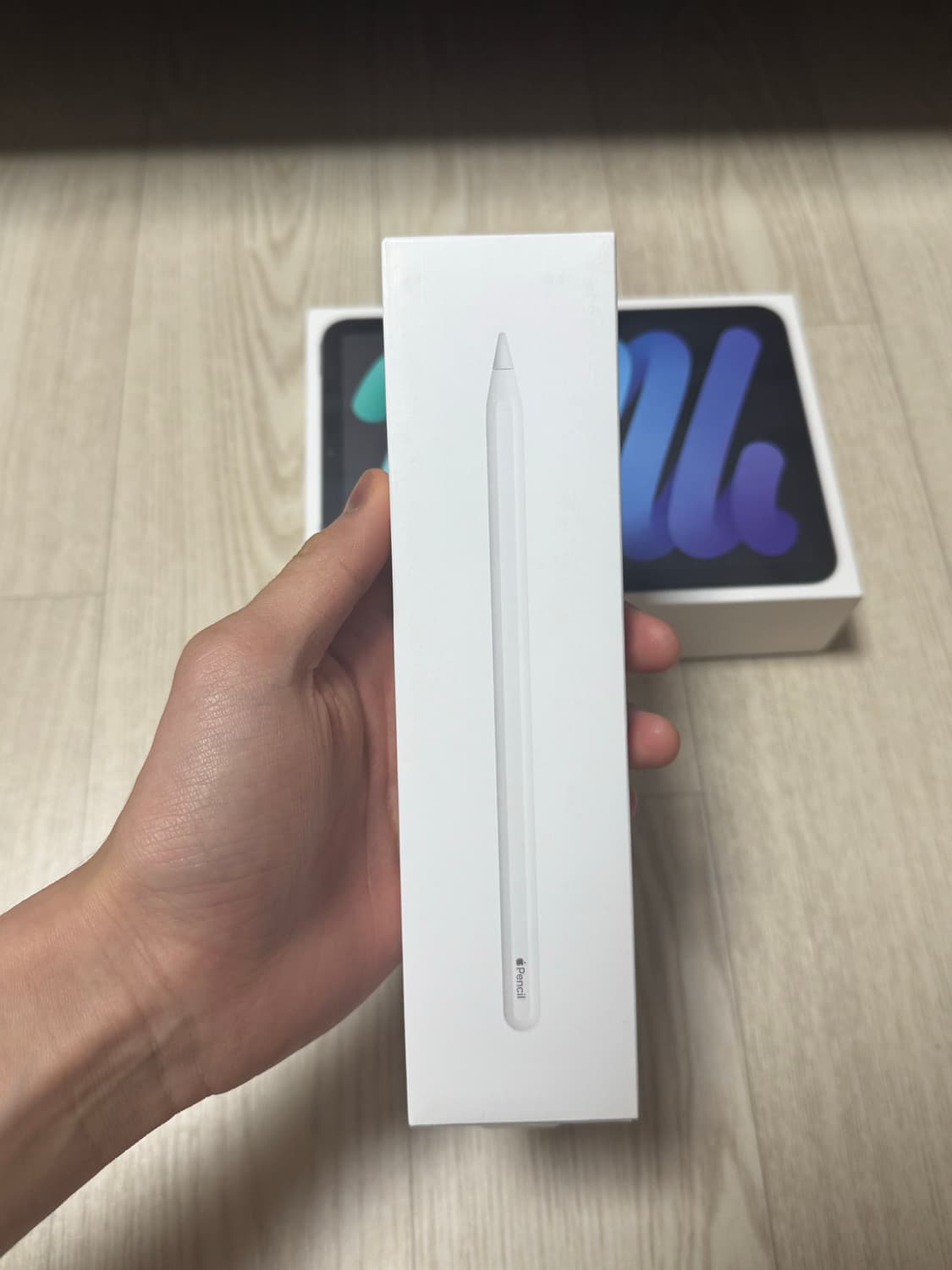 [S급/풀세트] 아이패드 미니 6세대 스그 64G + 애플펜슬 2세대 상품이미지9