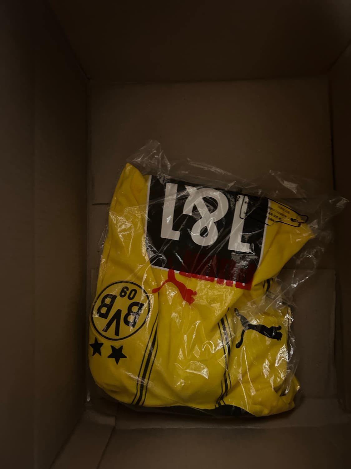 도르트문트 24/25 레플리카 (L) 상품이미지2