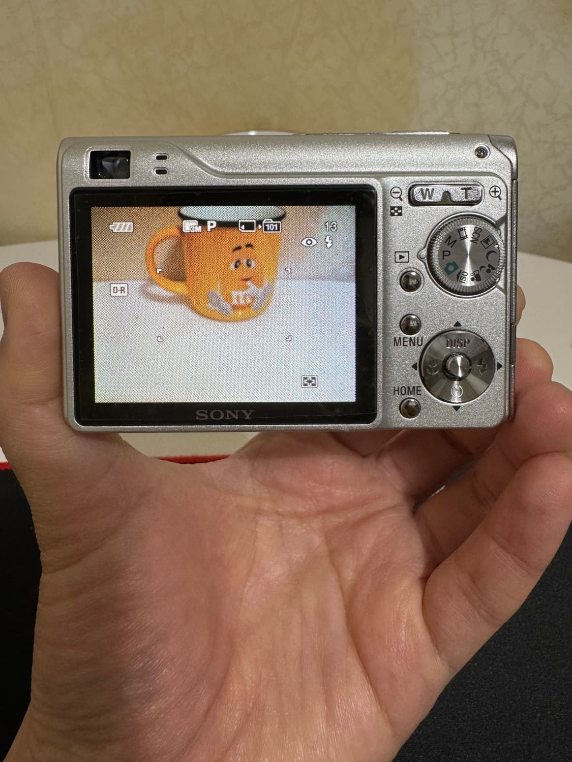 [새상품급] 소니 사이버샷 DSC-W200 상품이미지2