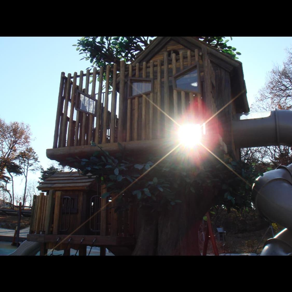 소니 사이버 DSC-T50  네이비블루🌊  빈티지 디카 디지털카메라 상품이미지5