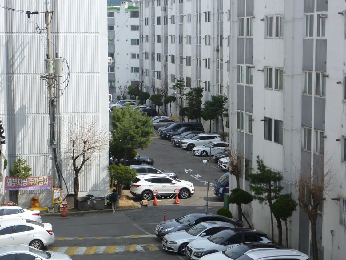 [빈티지 디카] 파나소닉 루믹스 FX66 블루 상품이미지8