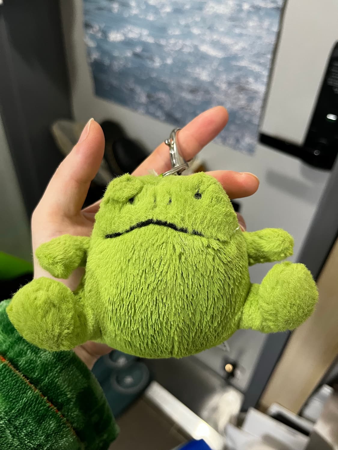 젤리캣 개구리키링 상품이미지1