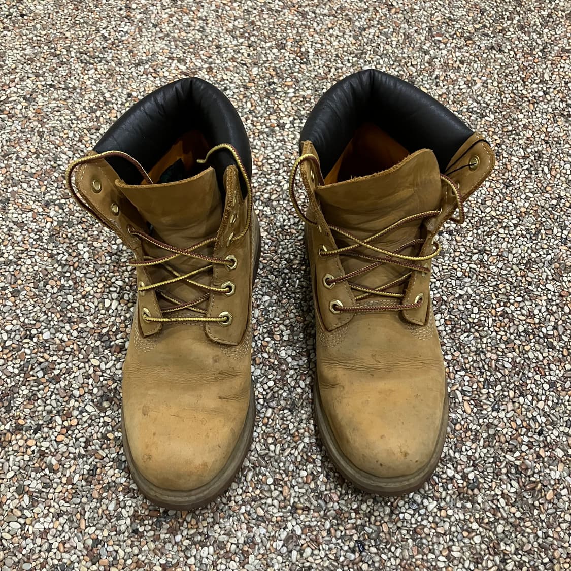 226 팀버랜드 6인치 부츠 상품이미지2