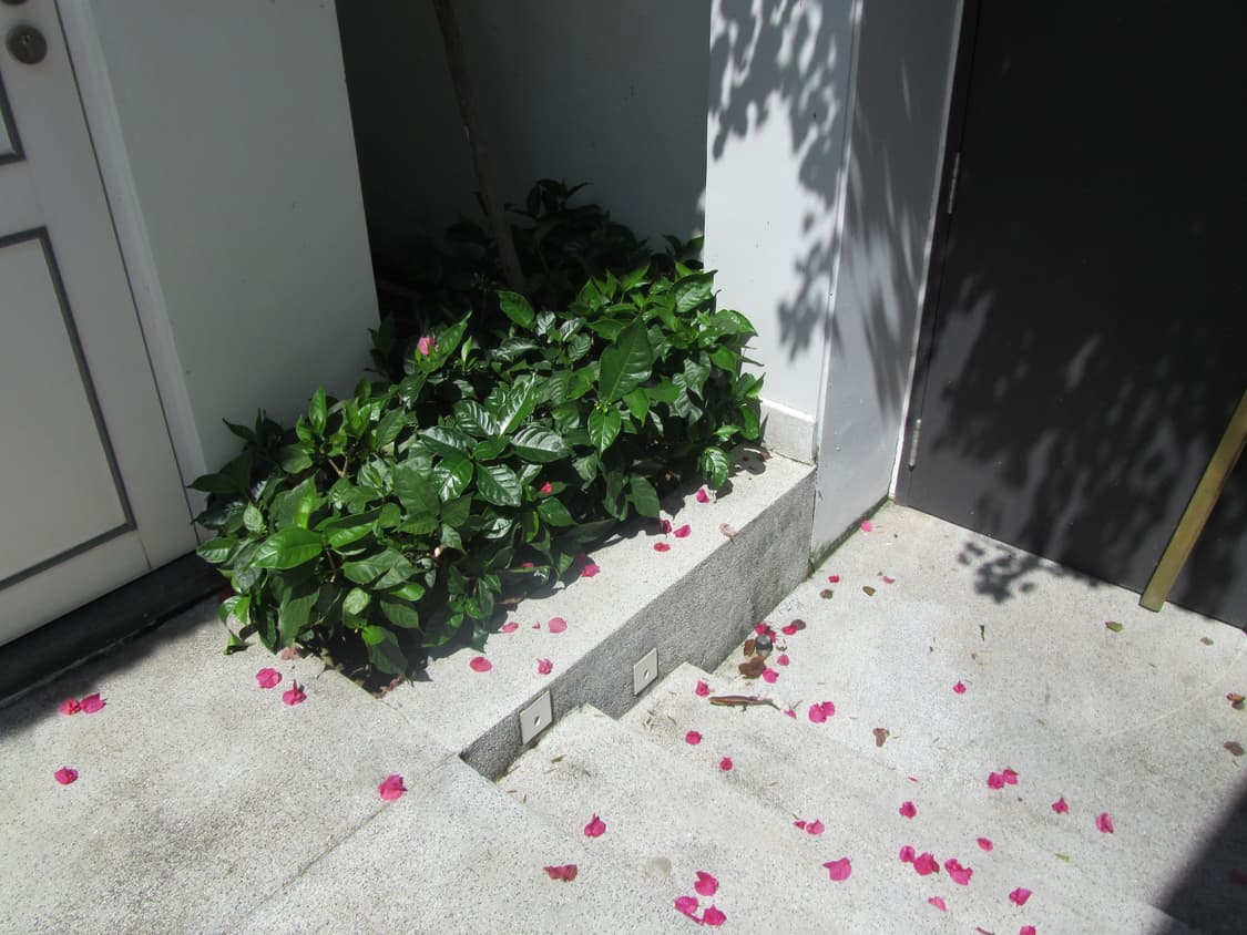 canon powershot sx210is purple 캐논 빈티지 디카 상품이미지5