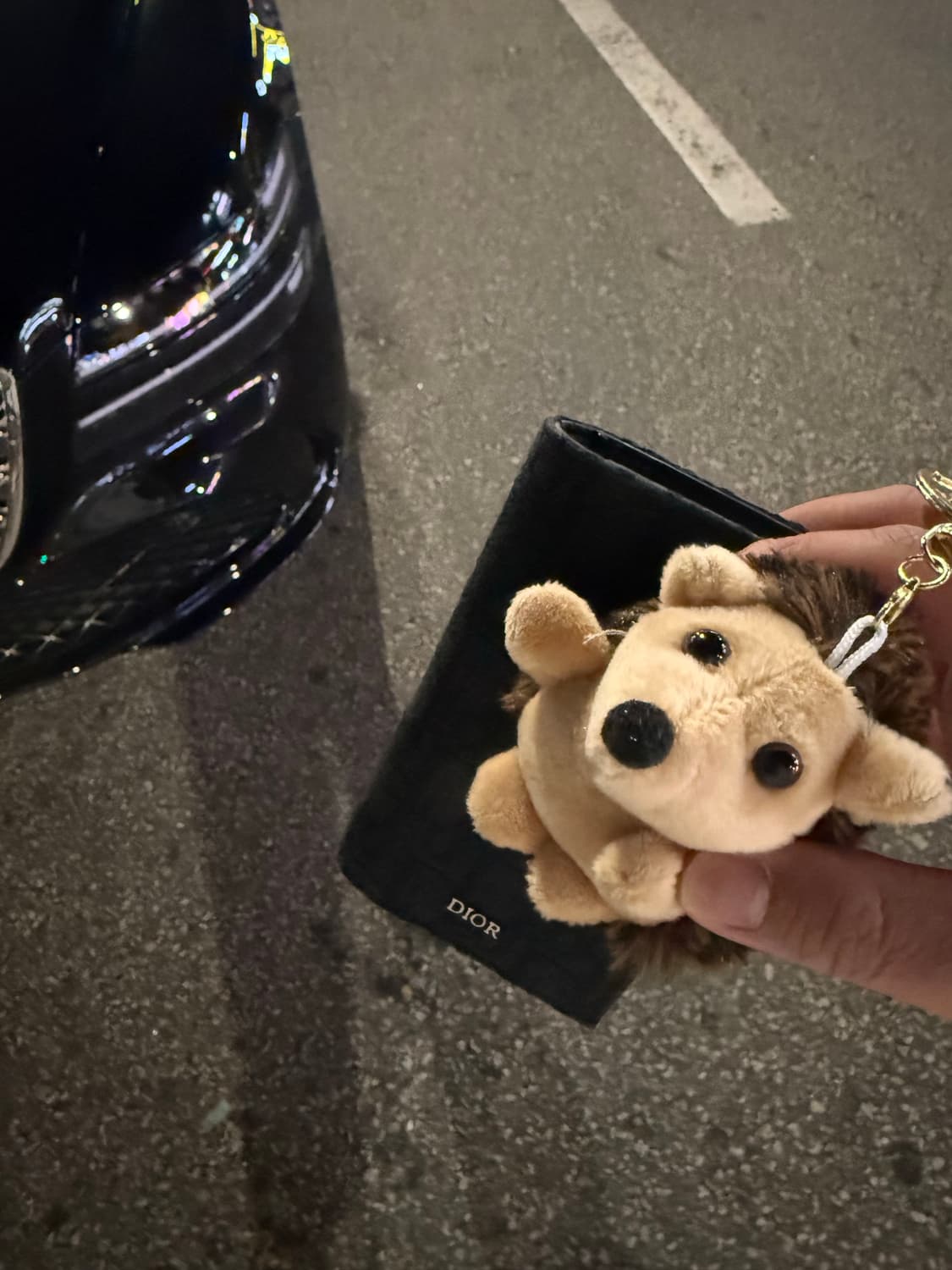 디올 롱 오거나이저 상품이미지4