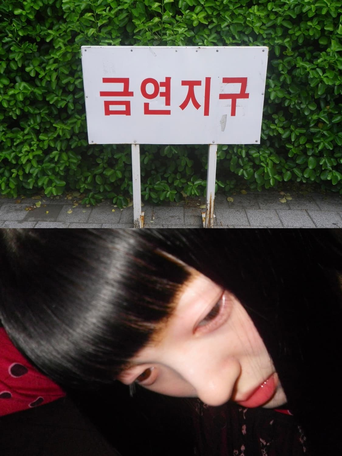 🦁 펜탁스 옵티오 WS80 🦁 빈티지 디카〰️주인장 최애 디카 상품이미지7
