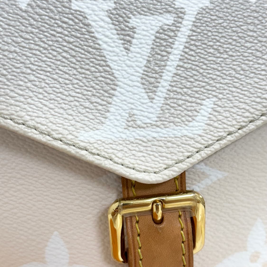 [OS]루이비통 타이니 그라데이션 미니 백팩 상품이미지2