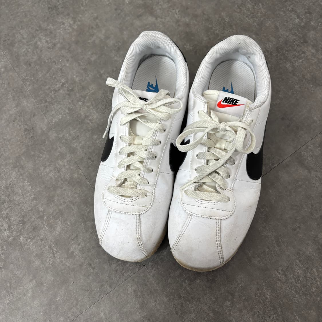 코르테즈 270 상품이미지2