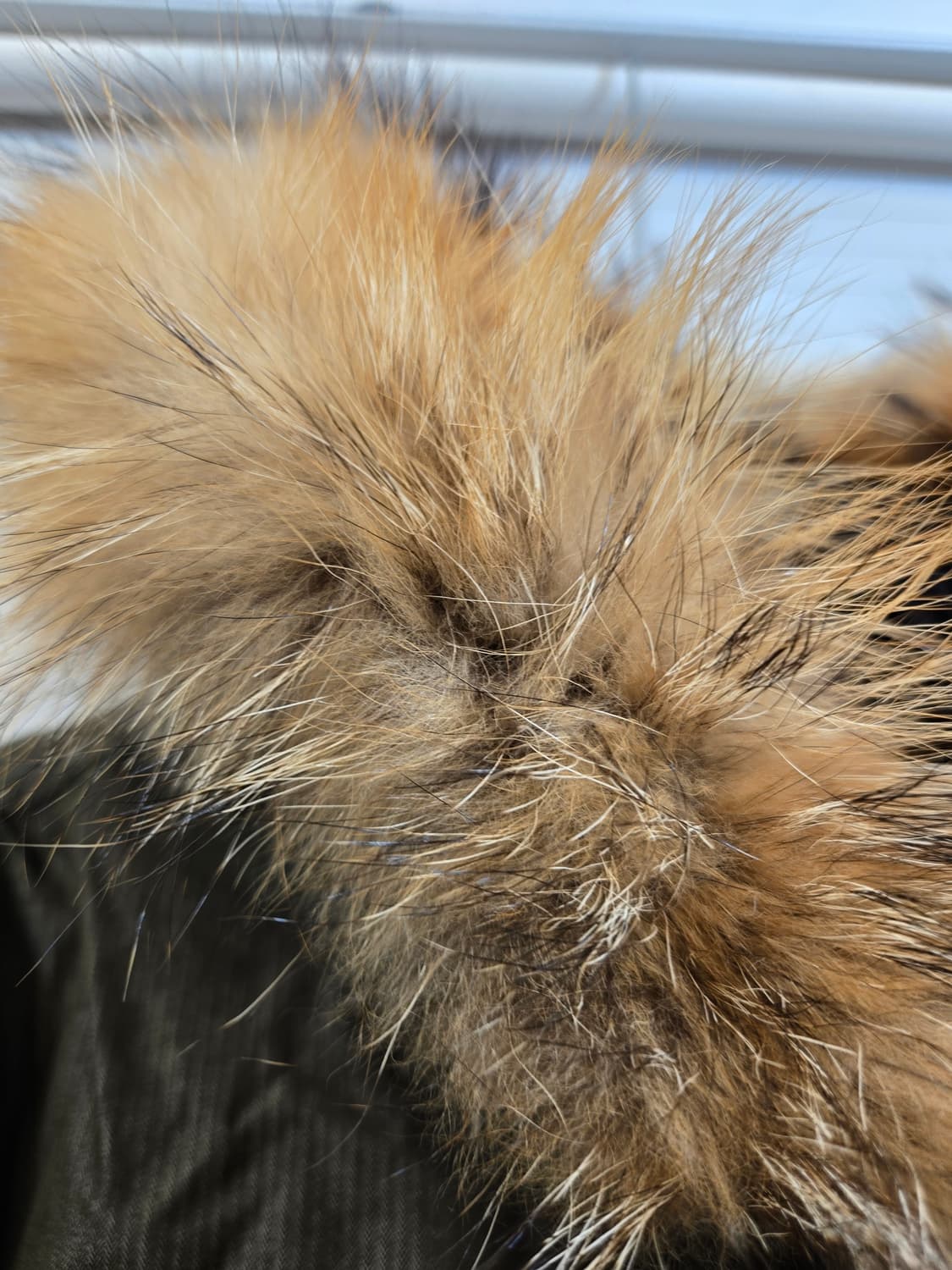 프래크스톤 카키색 퍼 후드 롱 패딩 점퍼 상품이미지2