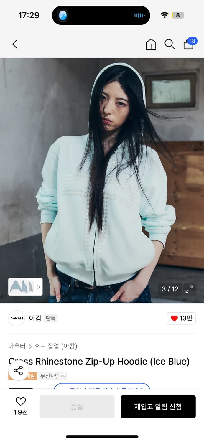 아캄 Cross Rhinestone Zip-Up Hoodie 후드집업 상품이미지3