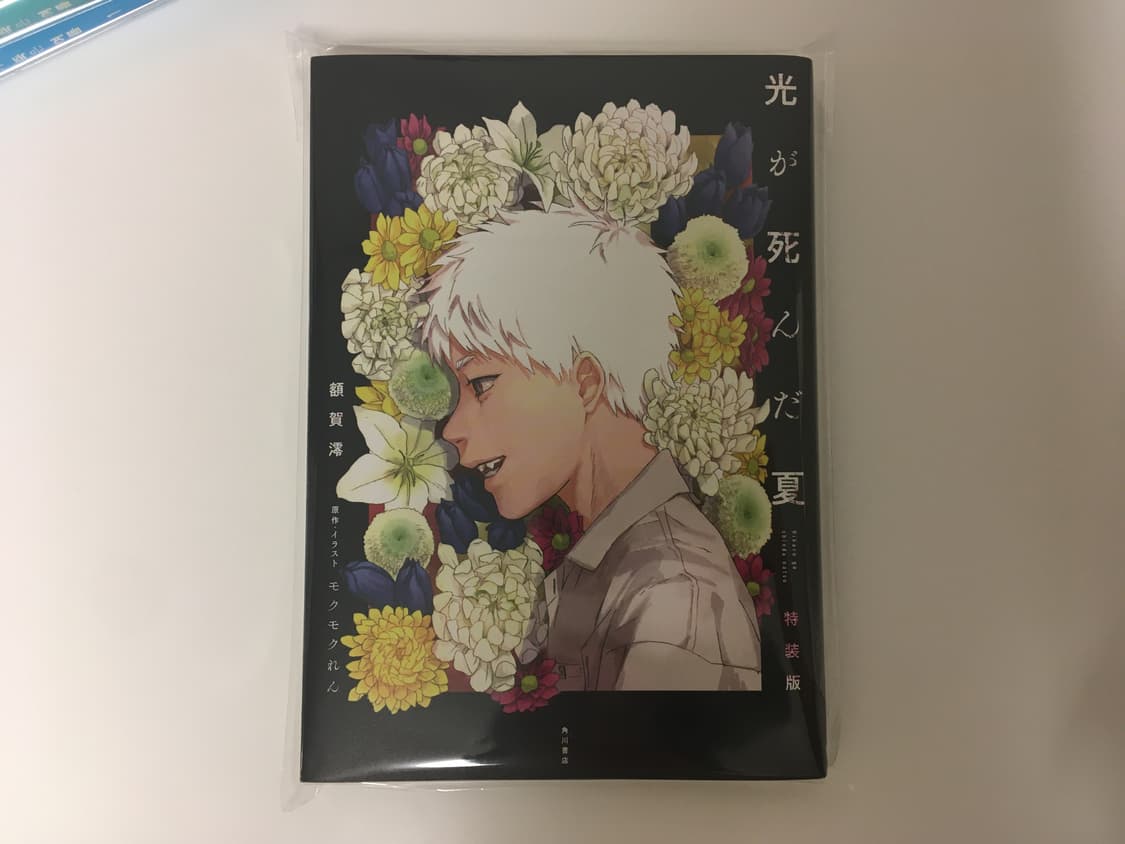 히카루가 죽은 여름 소설 원서 상품이미지1