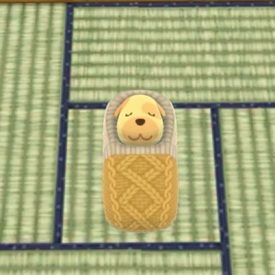 개인 결제창 상품이미지1