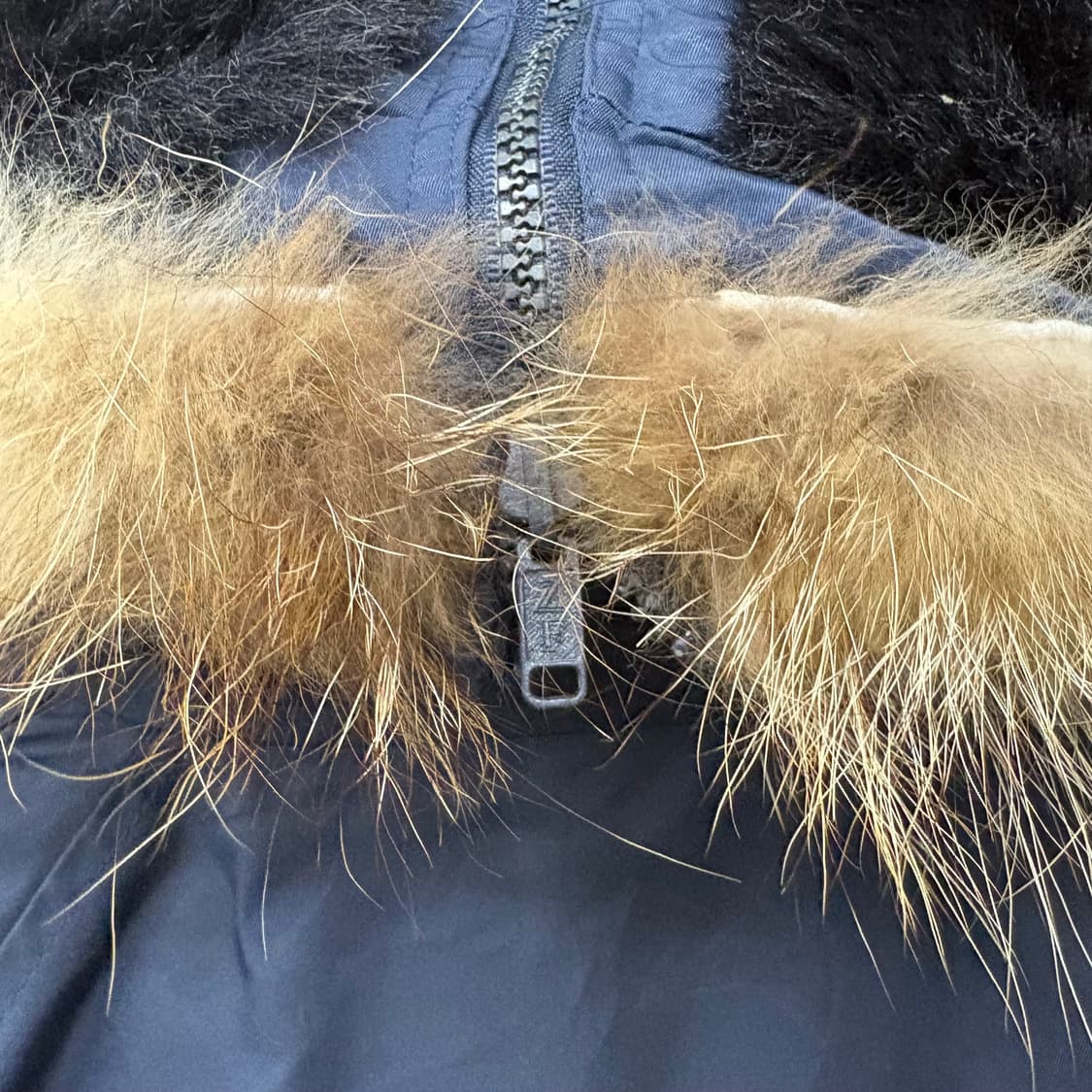 산토리 BOSS 커피 콜라보 n2b 패딩 남/L 상품이미지9