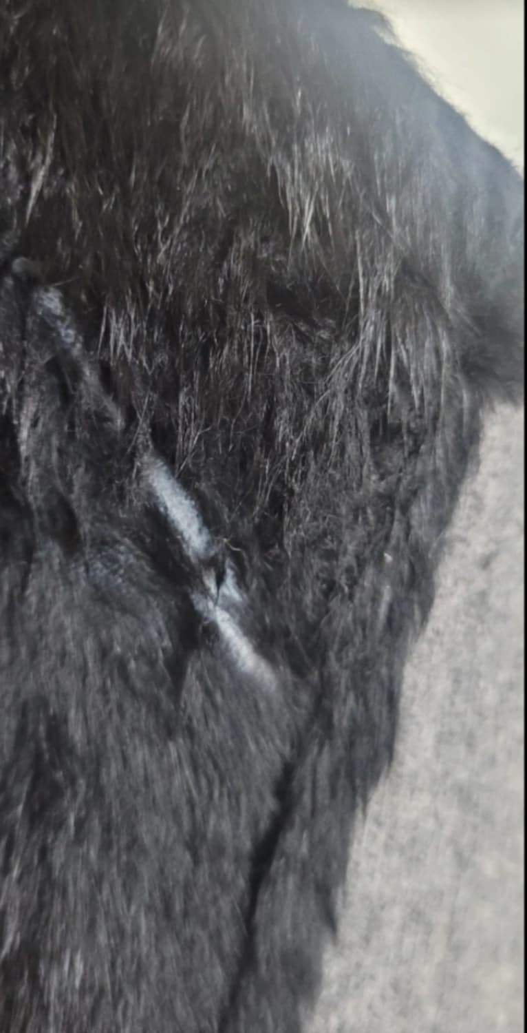 👠여성55-66사이즈👠 토끼털 니트조끼 상품이미지3