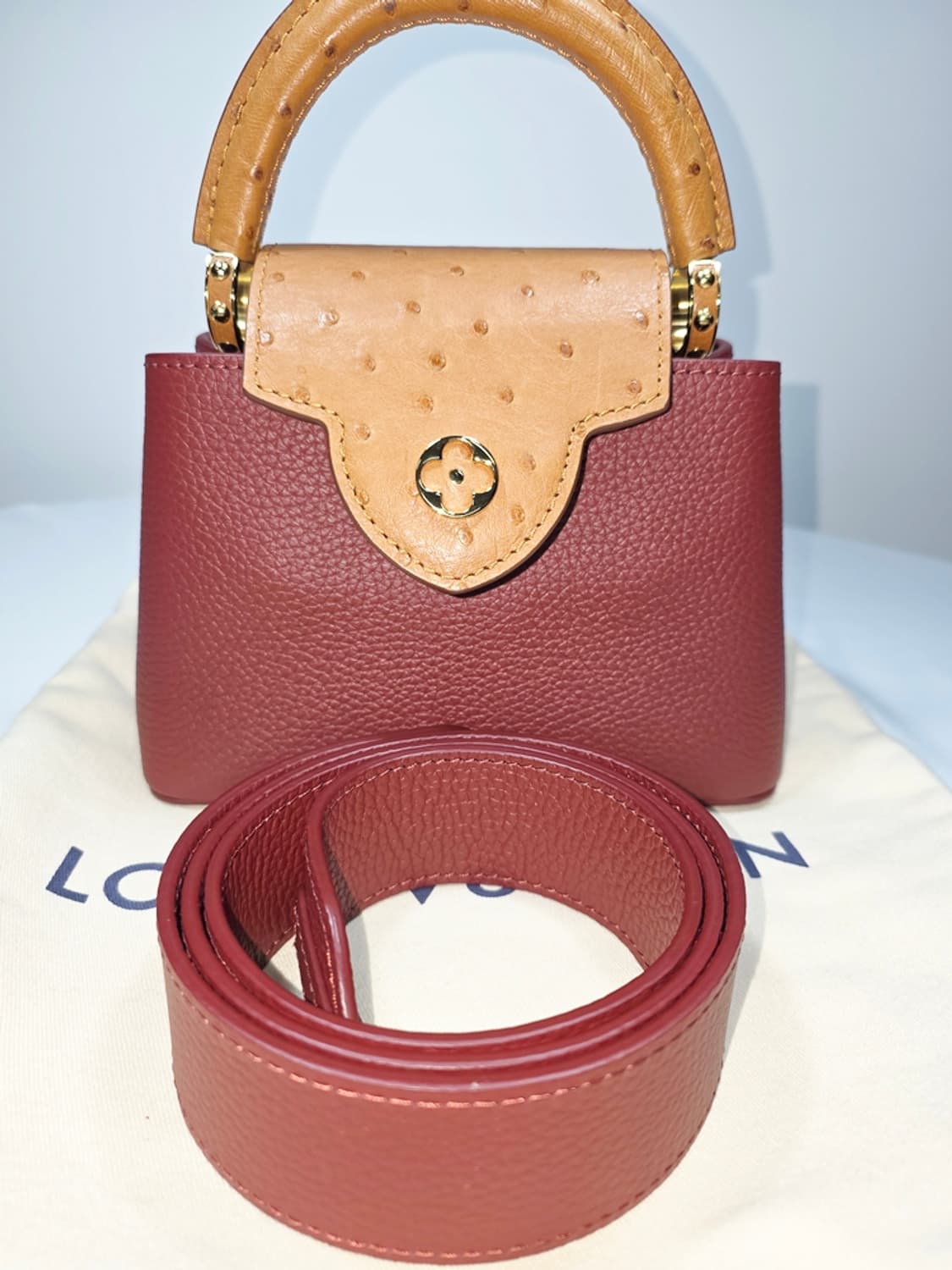 루이비통 카퓌신 미니 오스트리치 N81409 상품이미지1