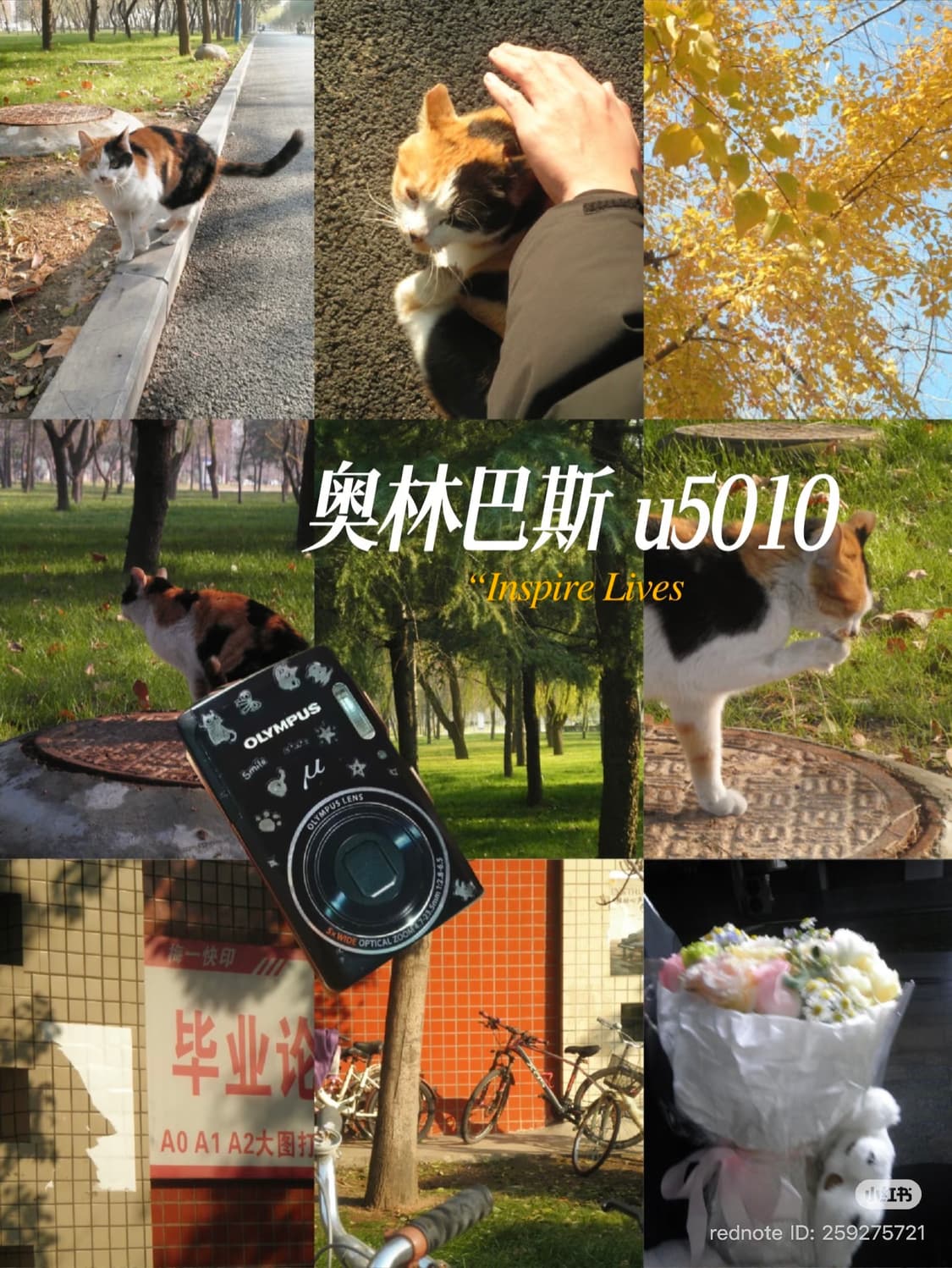 민트급!) 올림푸스 뮤 5010 / 스타일러스 5010 상품이미지7