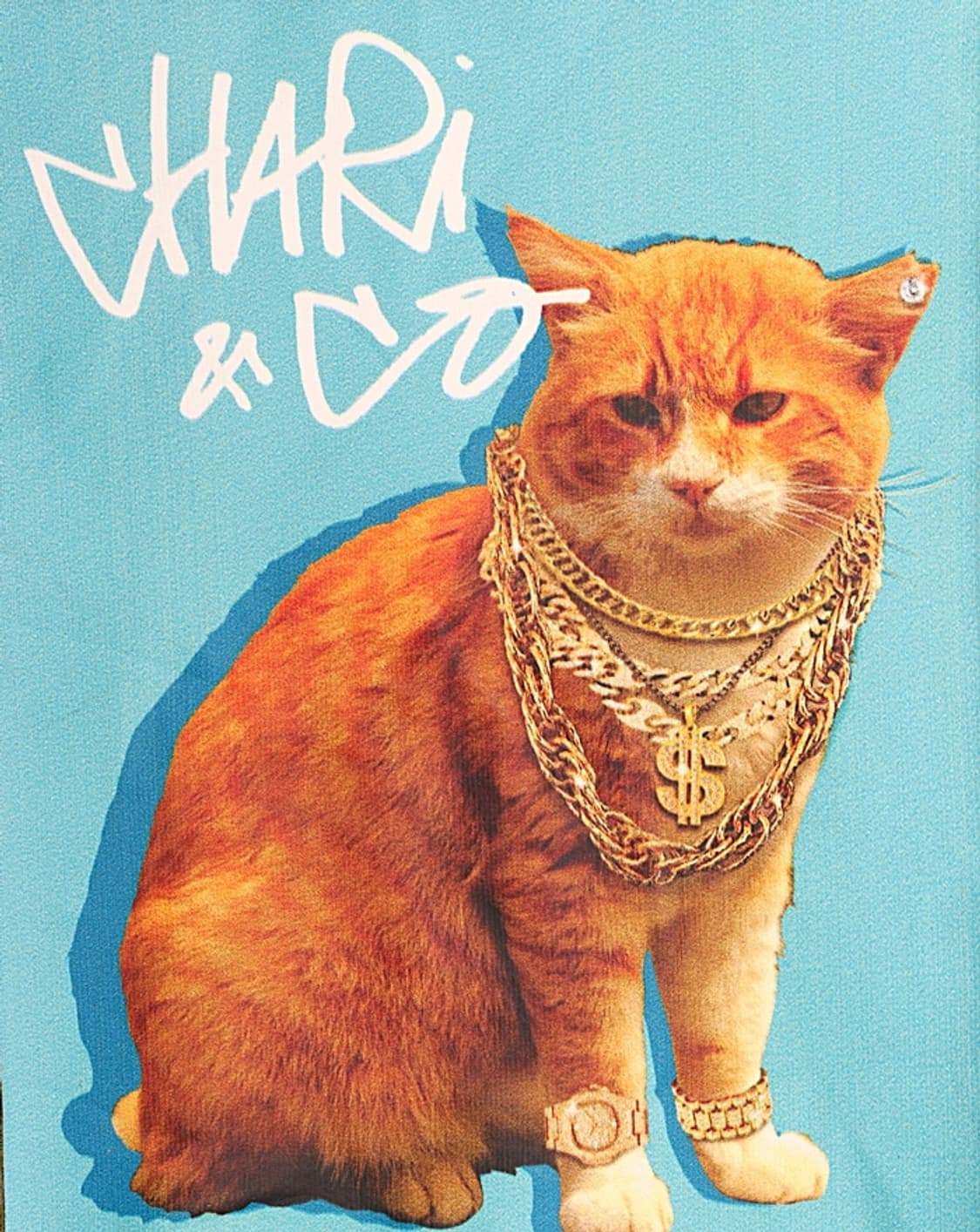 CHARI&CO Fade T-Shirts 상품이미지2