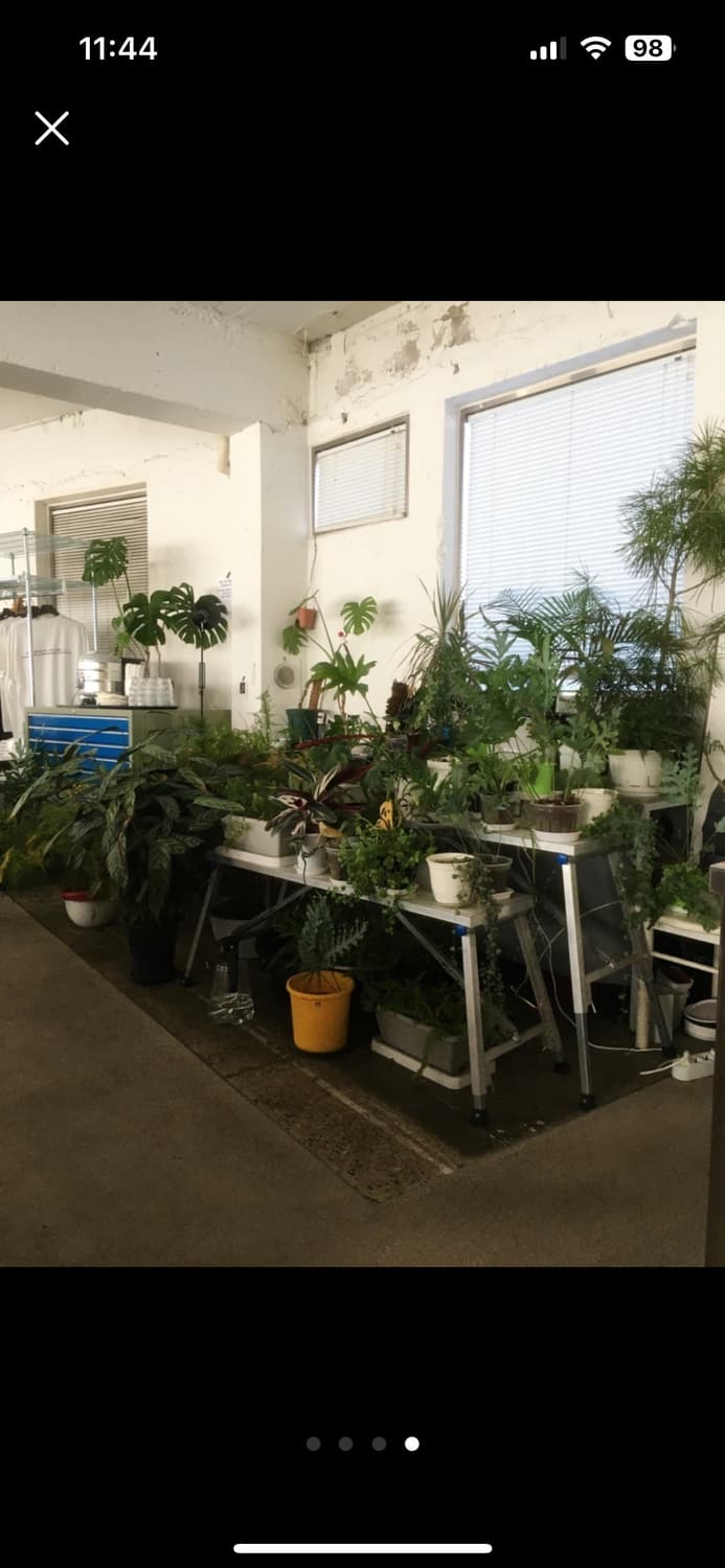 아이폰 6s 64기가 골드 상품이미지4