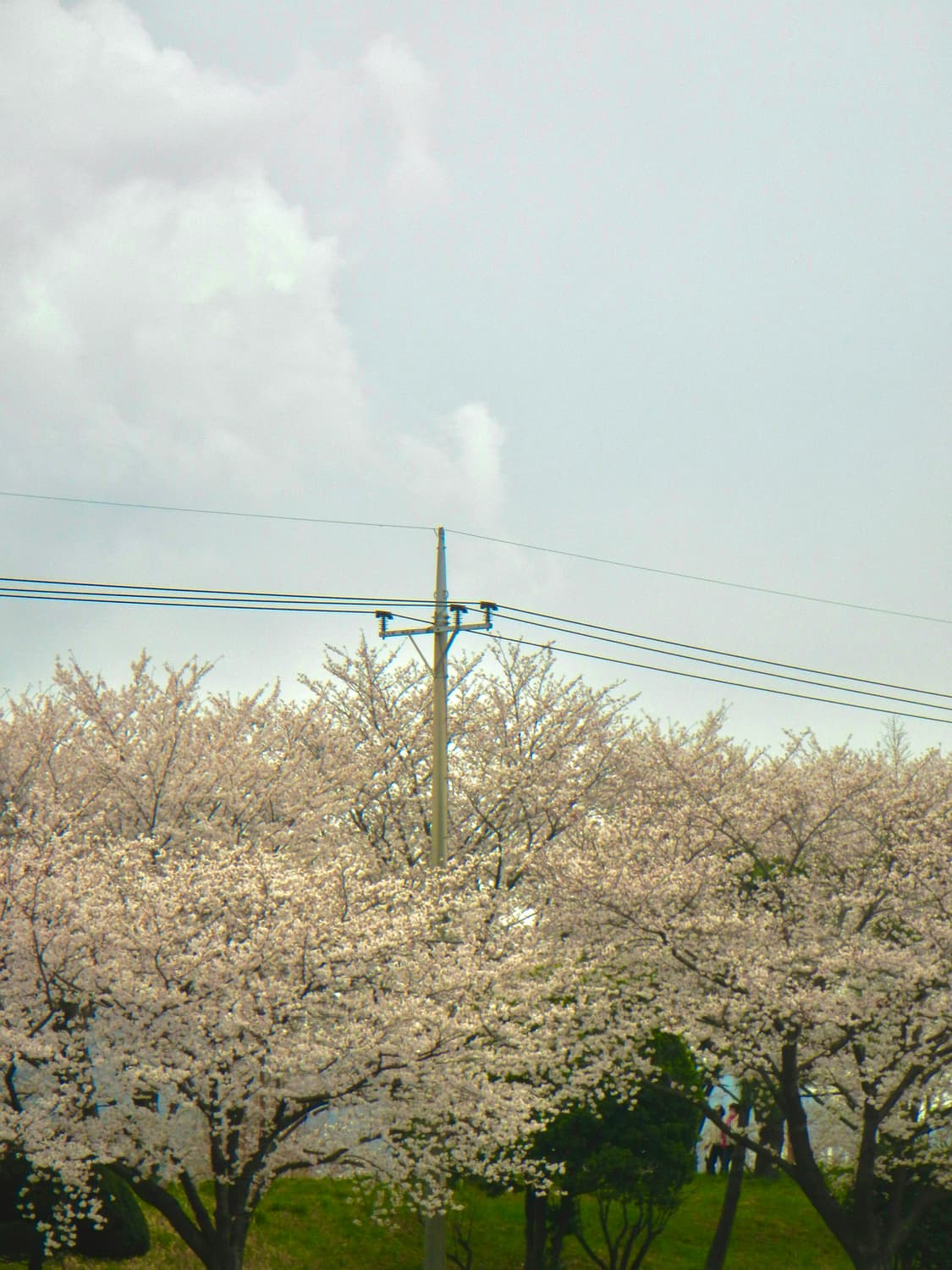 니콘 쿨픽스(Nikon coolpix) aw100 상품이미지5