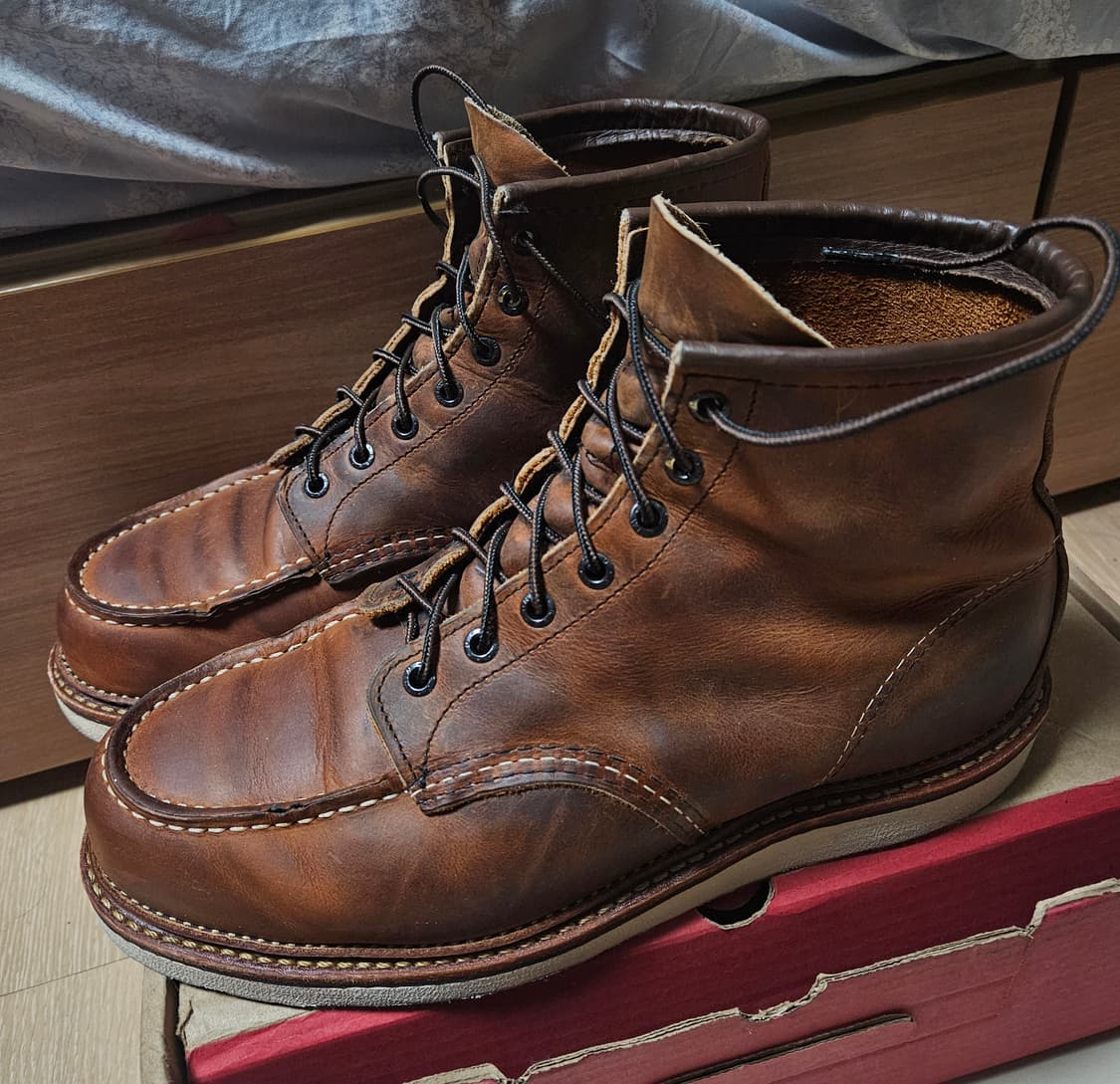 레드윙 1907 레드윙1907 목토 290 us11 상품이미지1