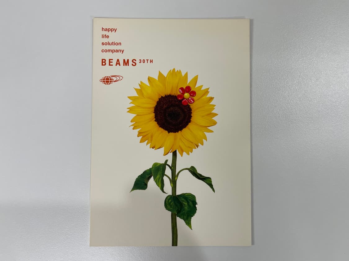 빔즈 30주년 기념 한정 아트 포토 Beams AD2006 상품이미지3